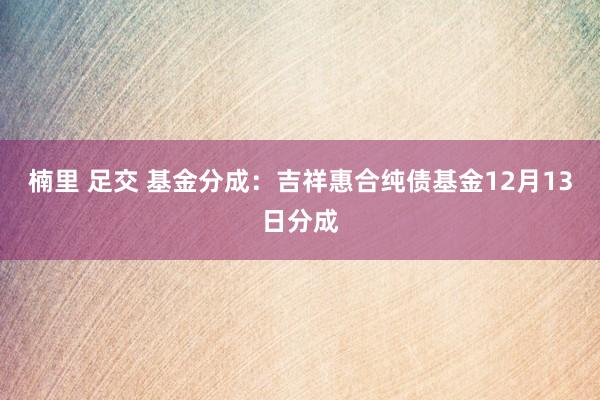 楠里 足交 基金分成：吉祥惠合纯债基金12月13日分成