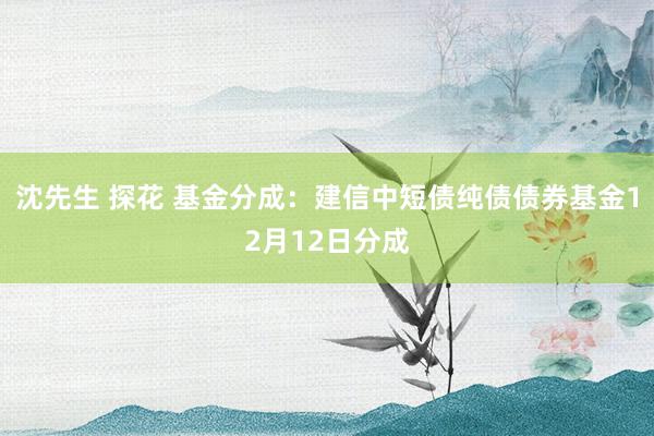 沈先生 探花 基金分成：建信中短债纯债债券基金12月12日分成