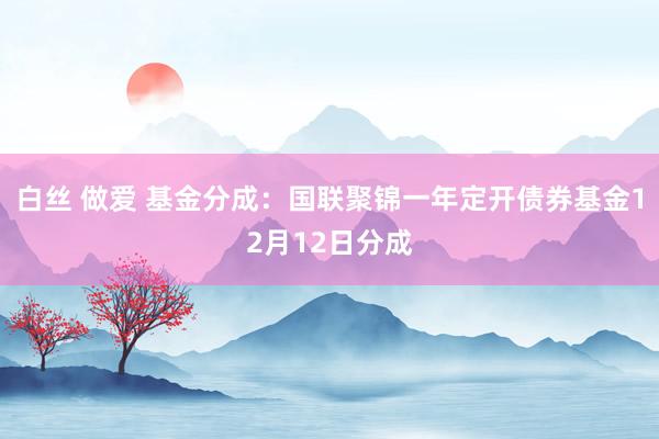 白丝 做爱 基金分成：国联聚锦一年定开债券基金12月12日分成