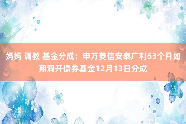 妈妈 调教 基金分成：申万菱信安泰广利63个月如期洞开债券基金12月13日分成