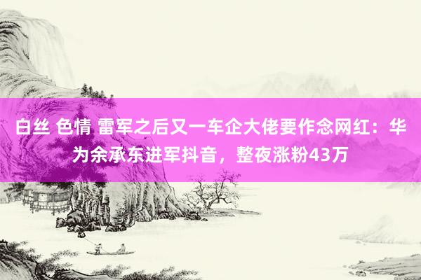 白丝 色情 雷军之后又一车企大佬要作念网红：华为余承东进军抖音，整夜涨粉43万