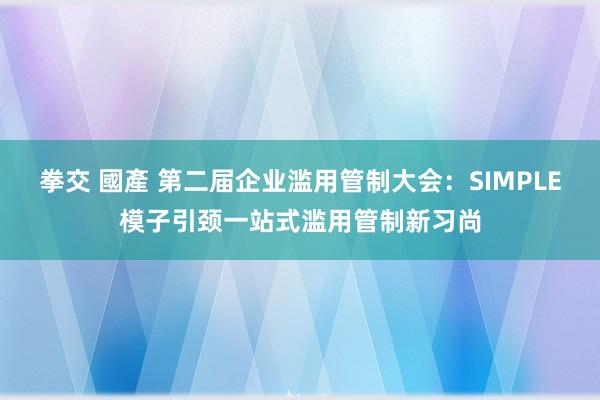 拳交 國產 第二届企业滥用管制大会：SIMPLE模子引颈一站式滥用管制新习尚