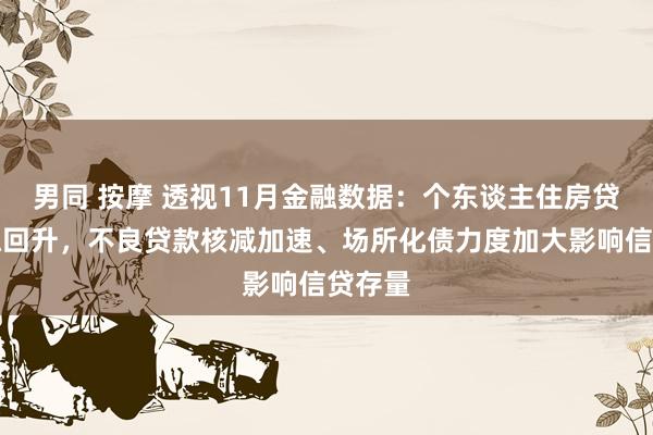 男同 按摩 透视11月金融数据：个东谈主住房贷款企稳回升，不良贷款核减加速、场所化债力度加大影响信贷存量