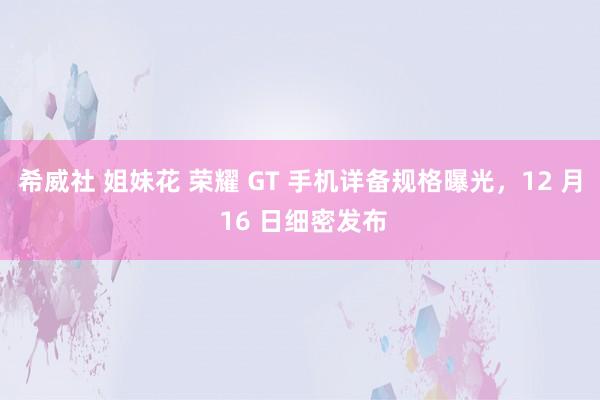 希威社 姐妹花 荣耀 GT 手机详备规格曝光，12 月 16 日细密发布