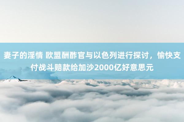 妻子的淫情 欧盟酬酢官与以色列进行探讨，愉快支付战斗赔款给加沙2000亿好意思元