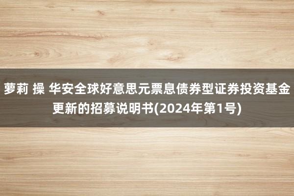 萝莉 操 华安全球好意思元票息债券型证券投资基金更新的招募说明书(2024年第1号)