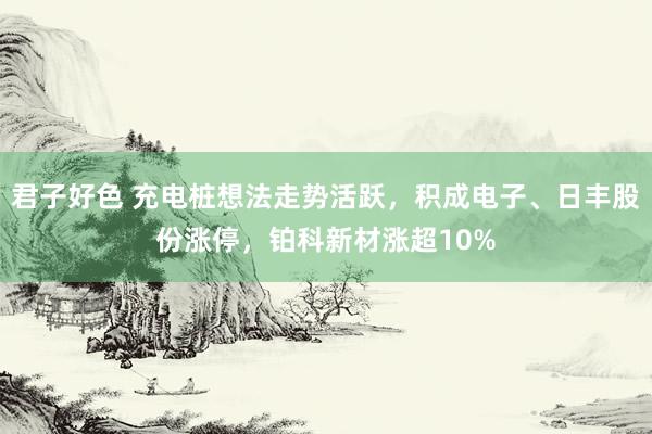 君子好色 充电桩想法走势活跃，积成电子、日丰股份涨停，铂科新材涨超10%