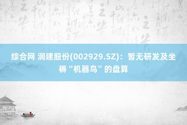 综合网 润建股份(002929.SZ)：暂无研发及坐褥“机器鸟”的盘算