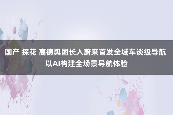 国产 探花 高德舆图长入蔚来首发全域车谈级导航 以AI构建全场景导航体验