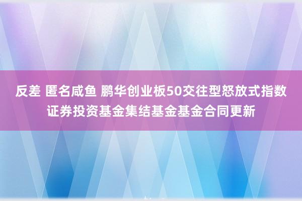 反差 匿名咸鱼 鹏华创业板50交往型怒放式指数证券投资基金集结基金基金合同更新