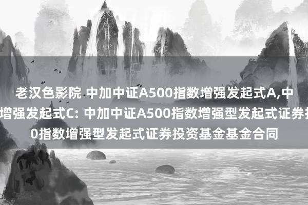 老汉色影院 中加中证A500指数增强发起式A，中加中证A500指数增强发起式C: 中加中证A500指数增强型发起式证券投资基金基金合同