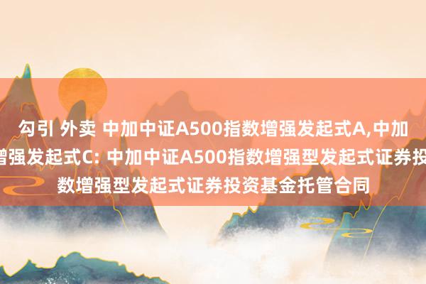 勾引 外卖 中加中证A500指数增强发起式A，中加中证A500指数增强发起式C: 中加中证A500指数增强型发起式证券投资基金托管合同