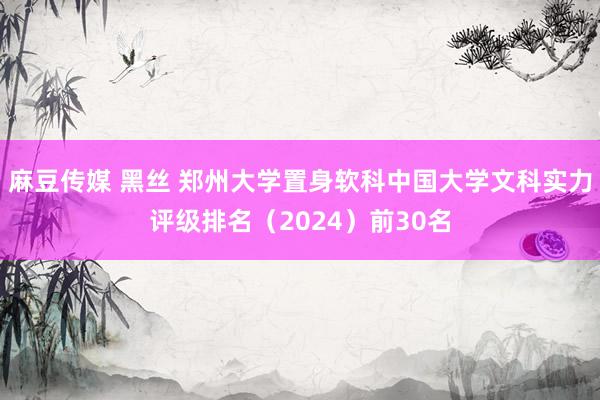 麻豆传媒 黑丝 郑州大学置身软科中国大学文科实力评级排名（2024）前30名