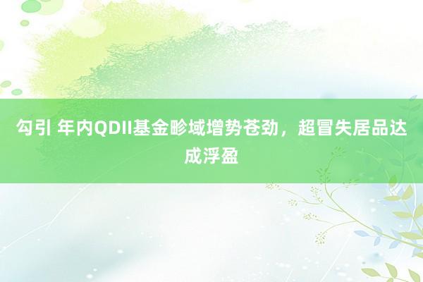 勾引 年内QDII基金畛域增势苍劲，超冒失居品达成浮盈