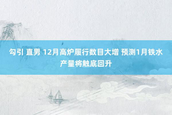 勾引 直男 12月高炉履行数目大增 预测1月铁水产量将触底回升