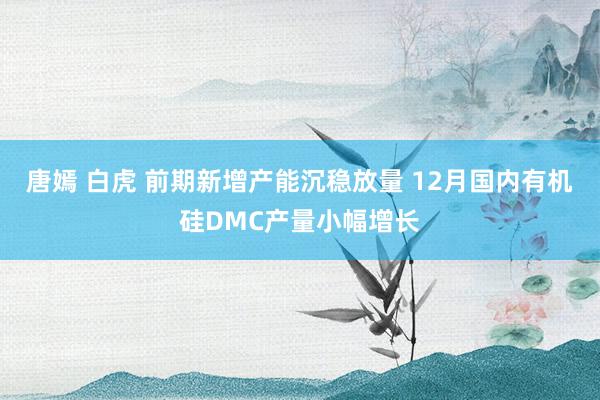 唐嫣 白虎 前期新增产能沉稳放量 12月国内有机硅DMC产量小幅增长