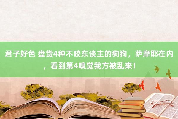 君子好色 盘货4种不咬东谈主的狗狗，萨摩耶在内，看到第4嗅觉我方被乱来！