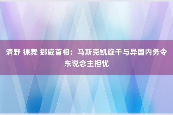 清野 裸舞 挪威首相：马斯克凯旋干与异国内务令东说念主担忧