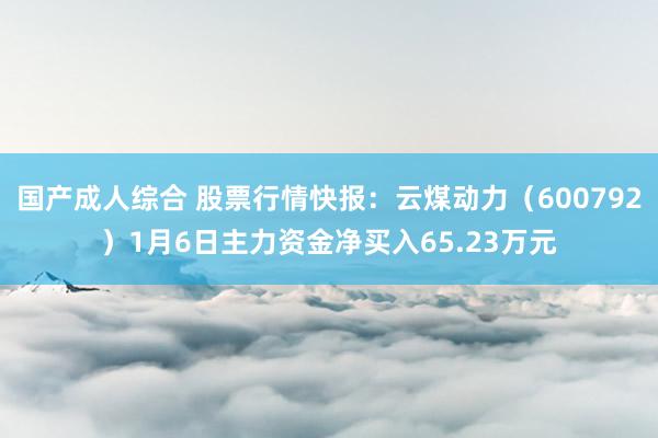 国产成人综合 股票行情快报：云煤动力（600792）1月6日主力资金净买入65.23万元