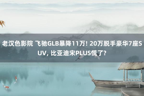 老汉色影院 飞驰GLB暴降11万! 20万脱手豪华7座SUV， 比亚迪宋PLUS慌了?