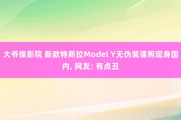 大爷操影院 新款特斯拉Model Y无伪装谍照现身国内， 网友: 有点丑