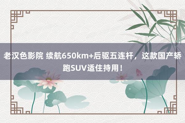 老汉色影院 续航650km+后驱五连杆，这款国产轿跑SUV适住持用！