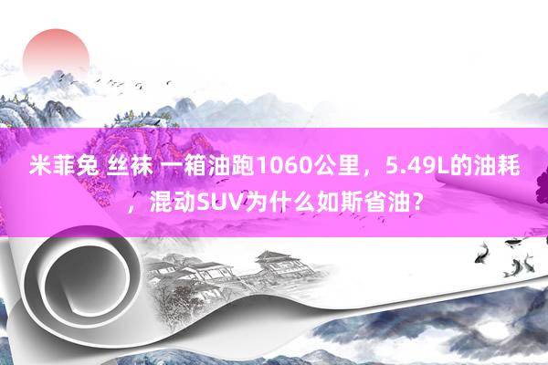 米菲兔 丝袜 一箱油跑1060公里，5.49L的油耗，混动SUV为什么如斯省油？